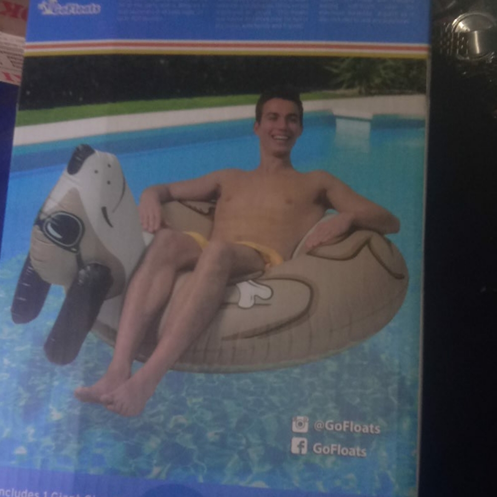 Lazy Did Pool Float - Picture 2 of 2